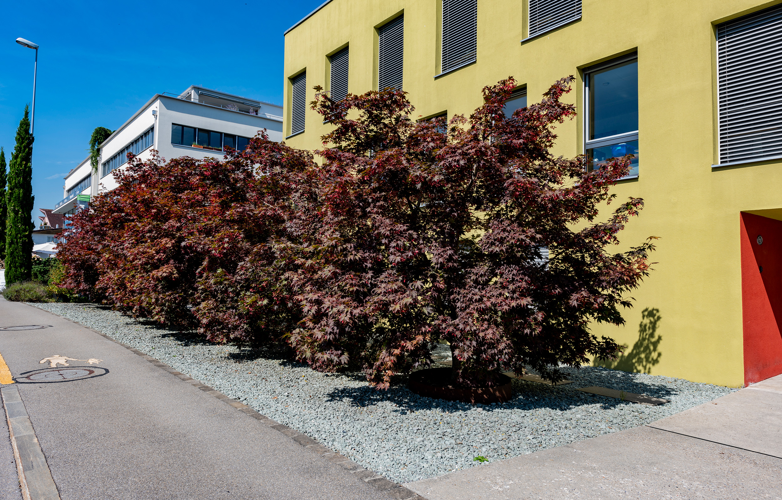 landformen-buerogebaeude-nspm-meggen-ts3