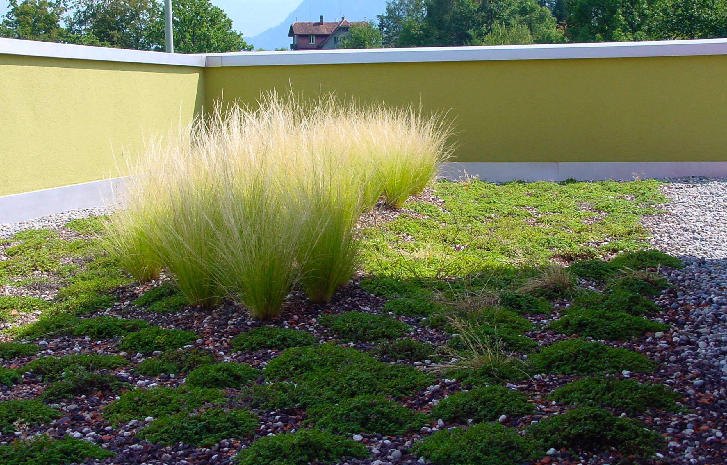 landformen-buerogebaeude-nspm-meggen-ts5