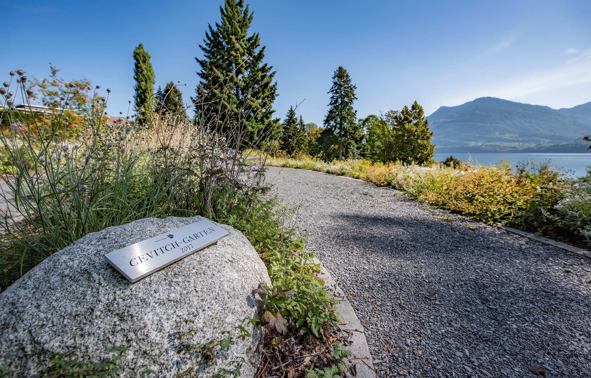 landformen-cevitch-park-meggen-ts1