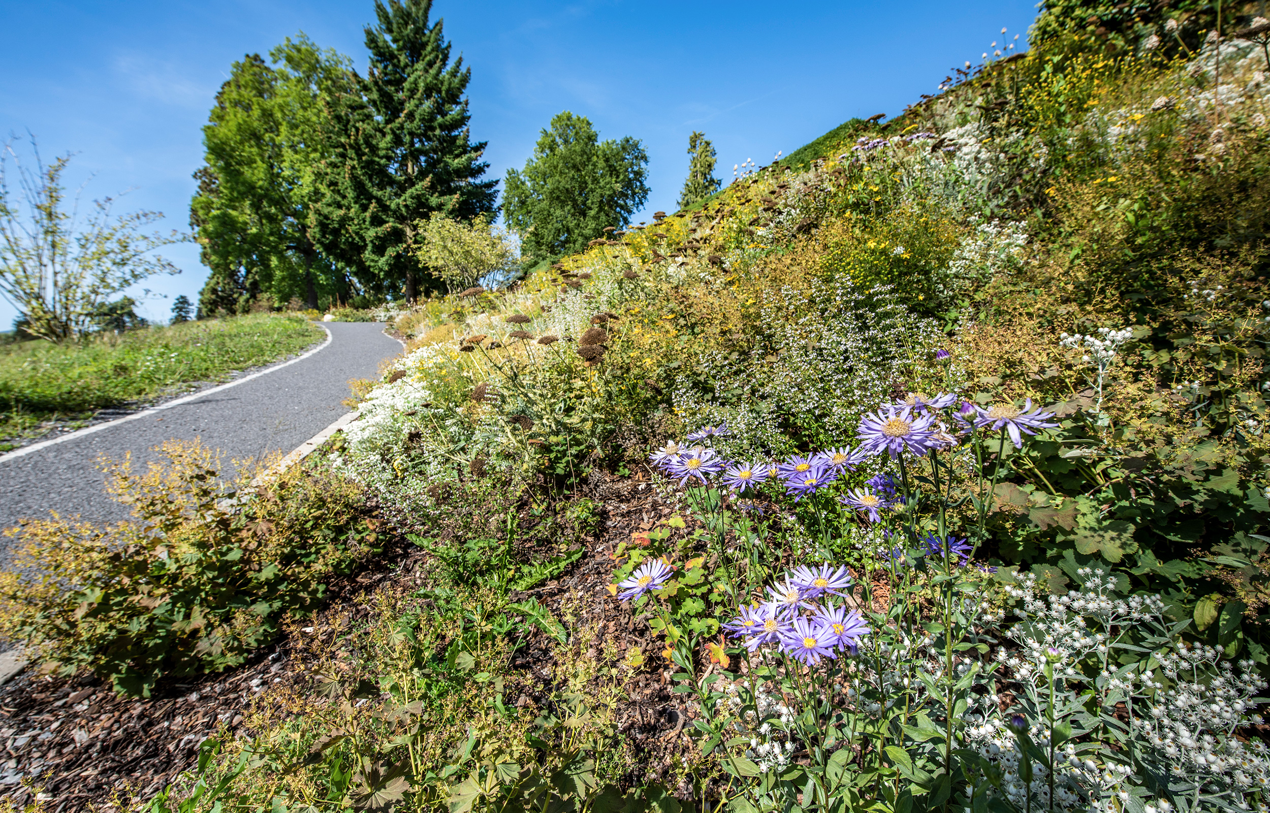 landformen-cevitch-park-meggen-ts3