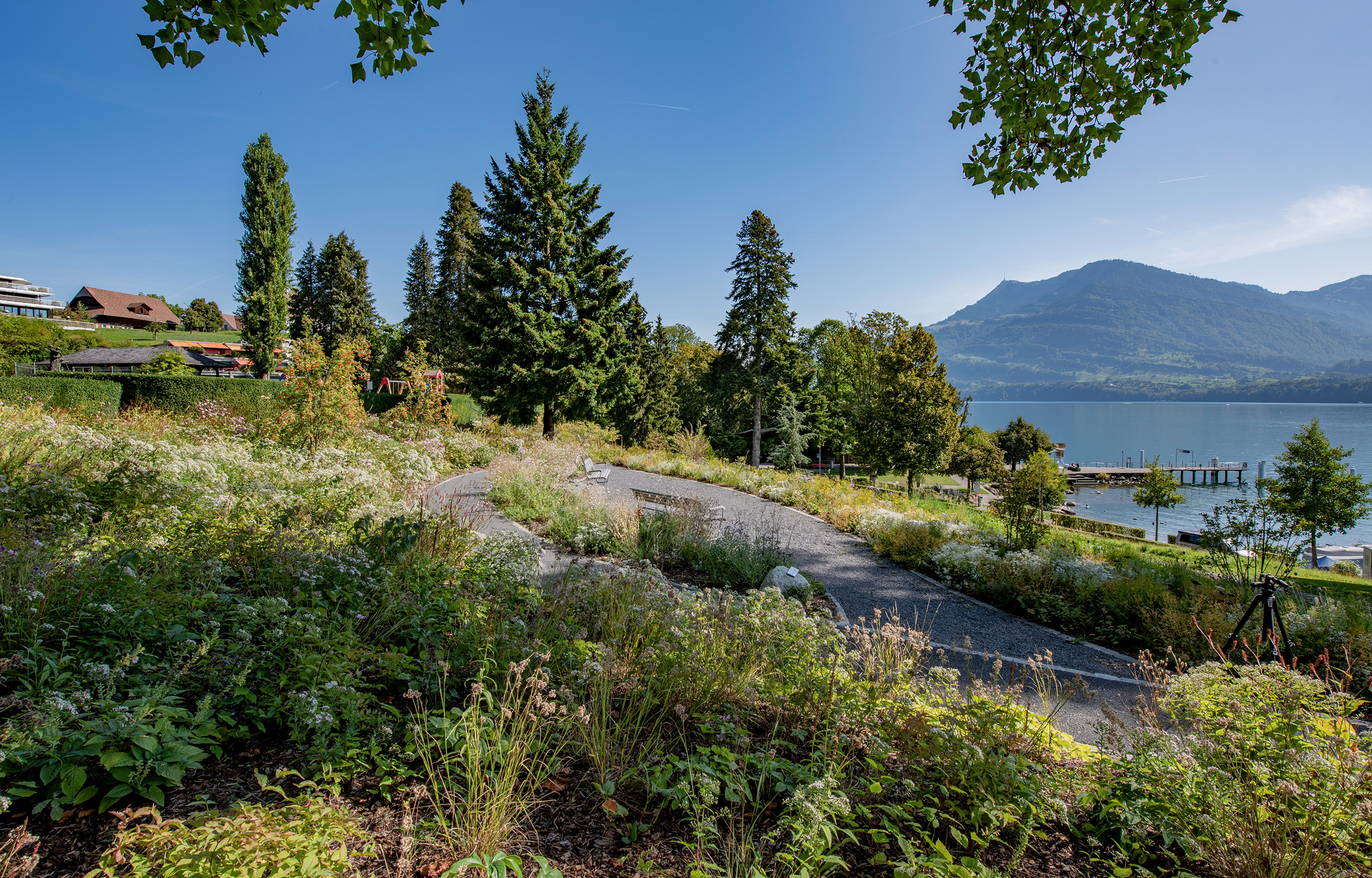 landformen-cevitch-park-meggen-ts6