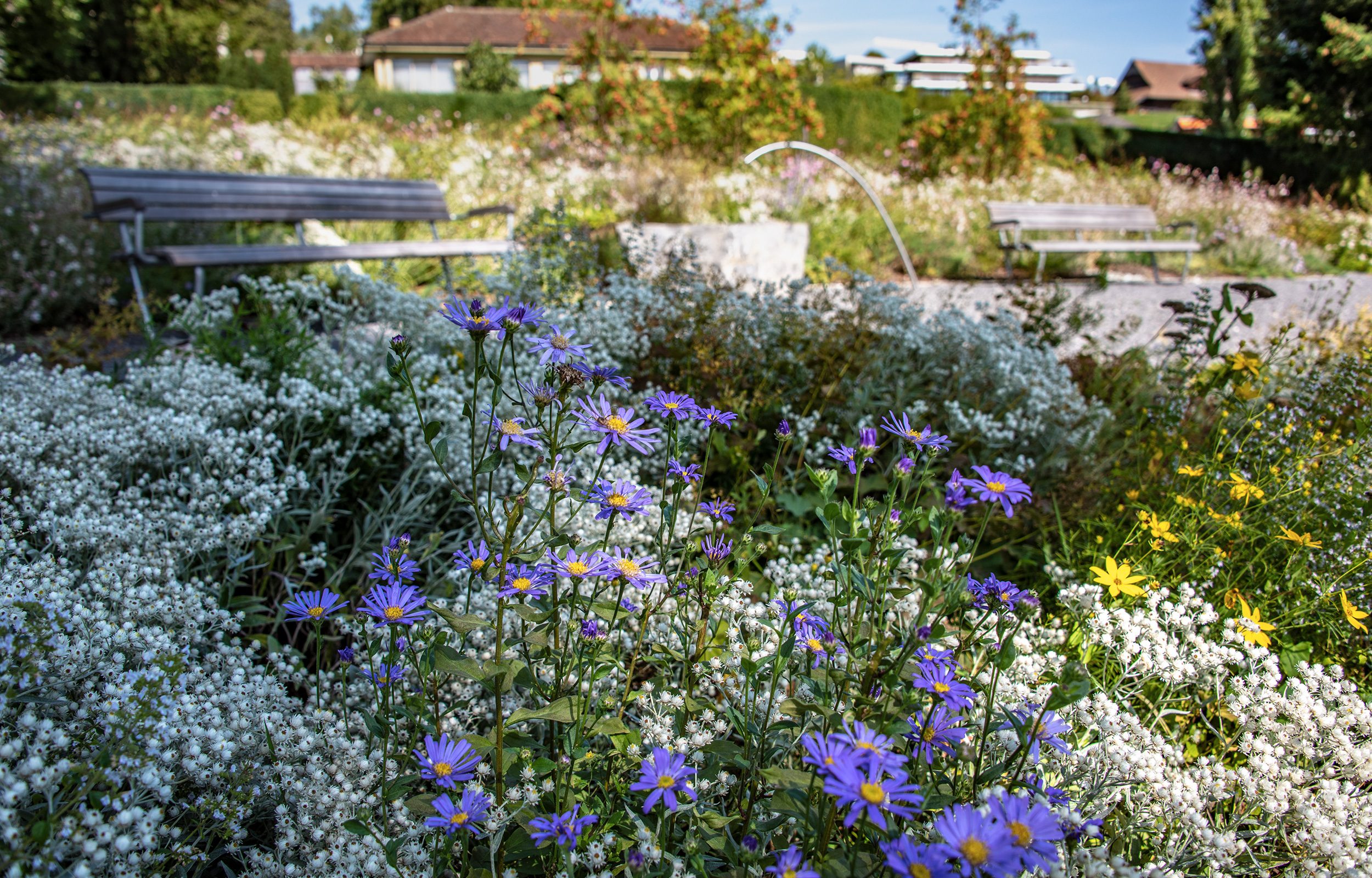 landformen-cevitch-park-meggen-ts8