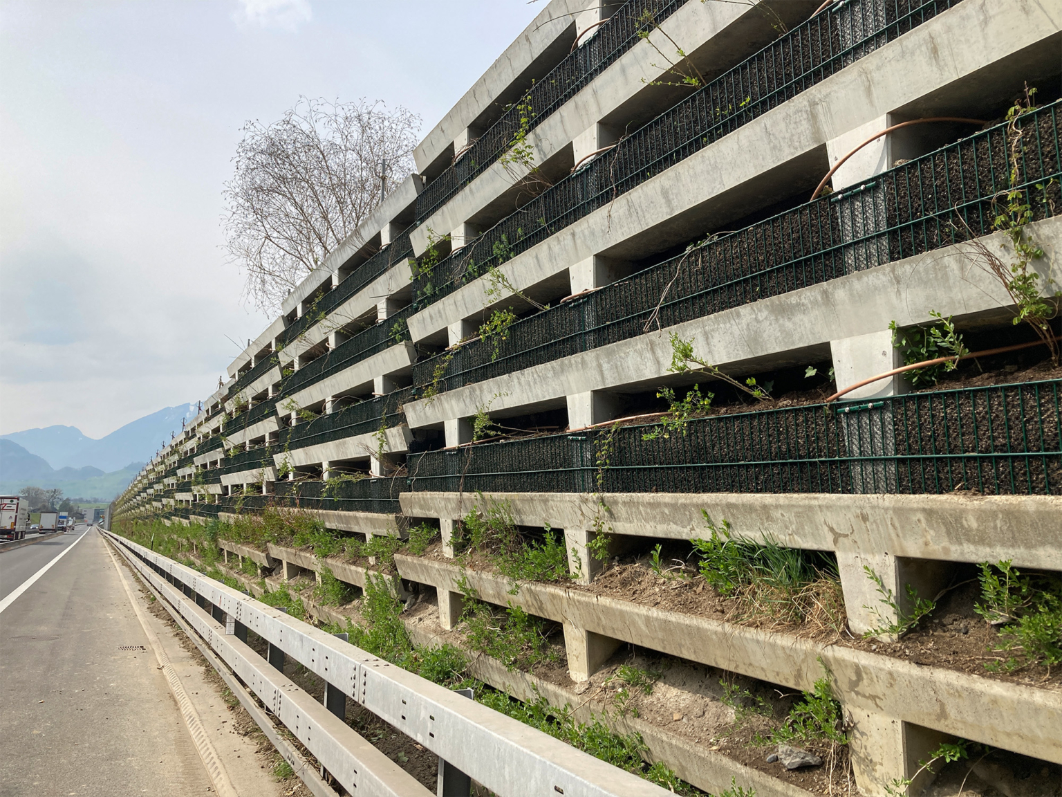 landformen-evergreen-buochs-ts3-1536x1152