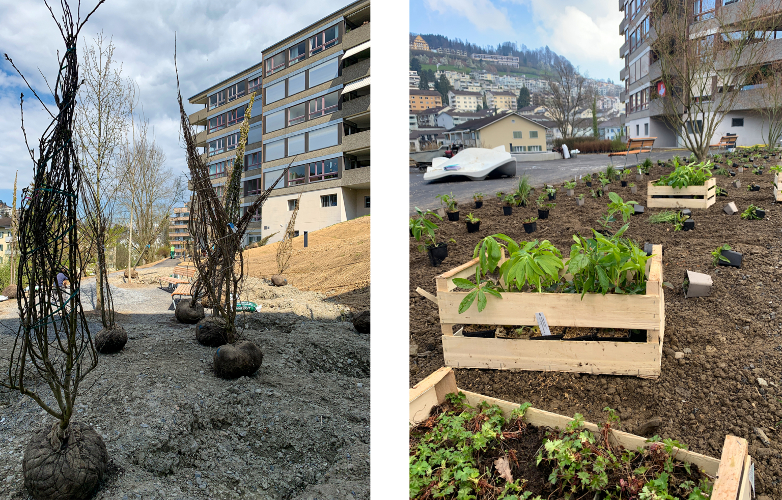 landformen-giselihalde-luzern-ts4-1536x983