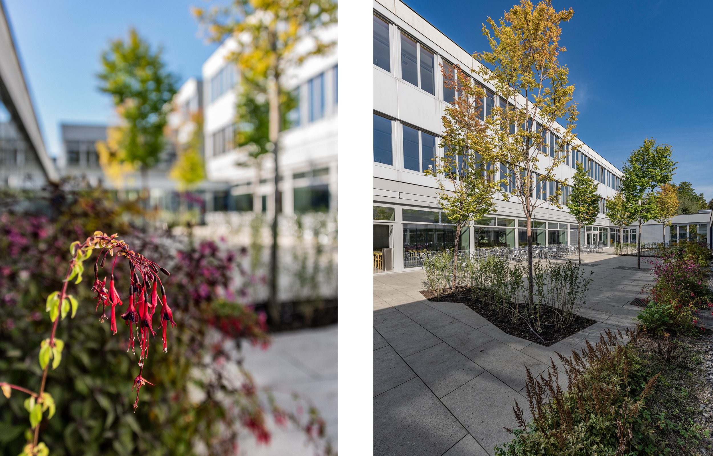 landformen-kantonsschule-alpenquai-luzern-ts6