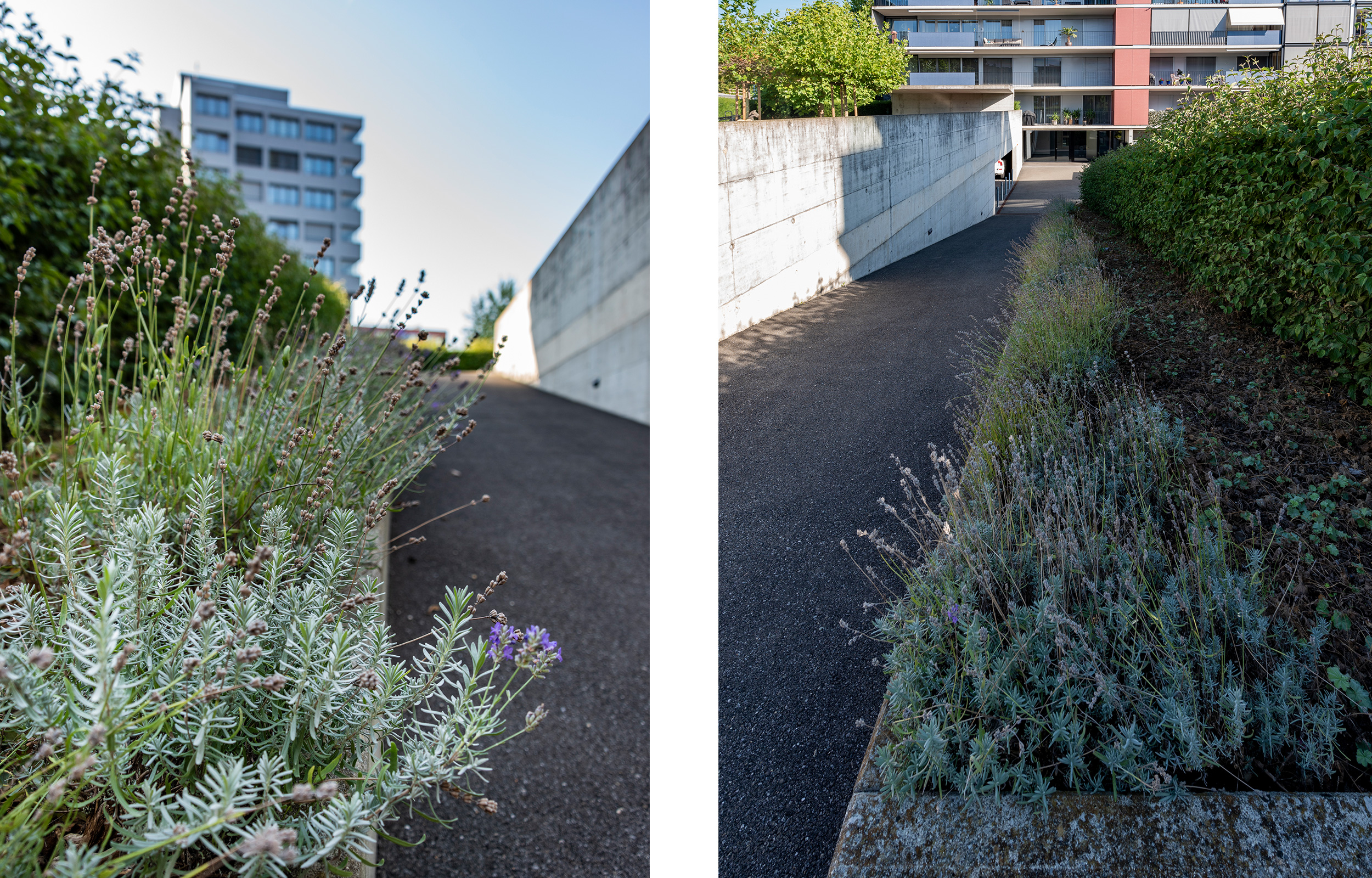 landformen-leopoldstrasse-sursee-ts3