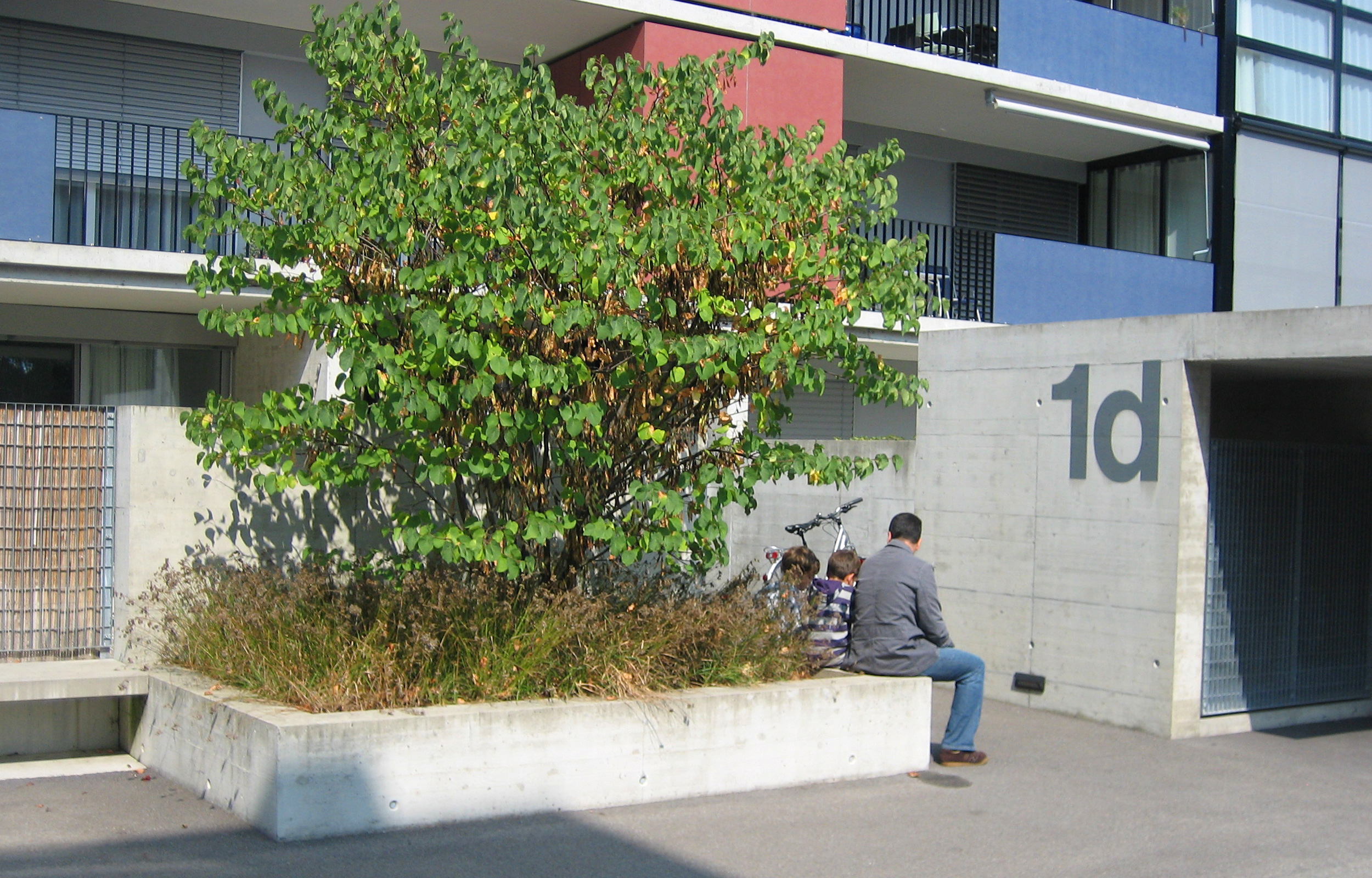 landformen-leopoldstrasse-sursee-ts5