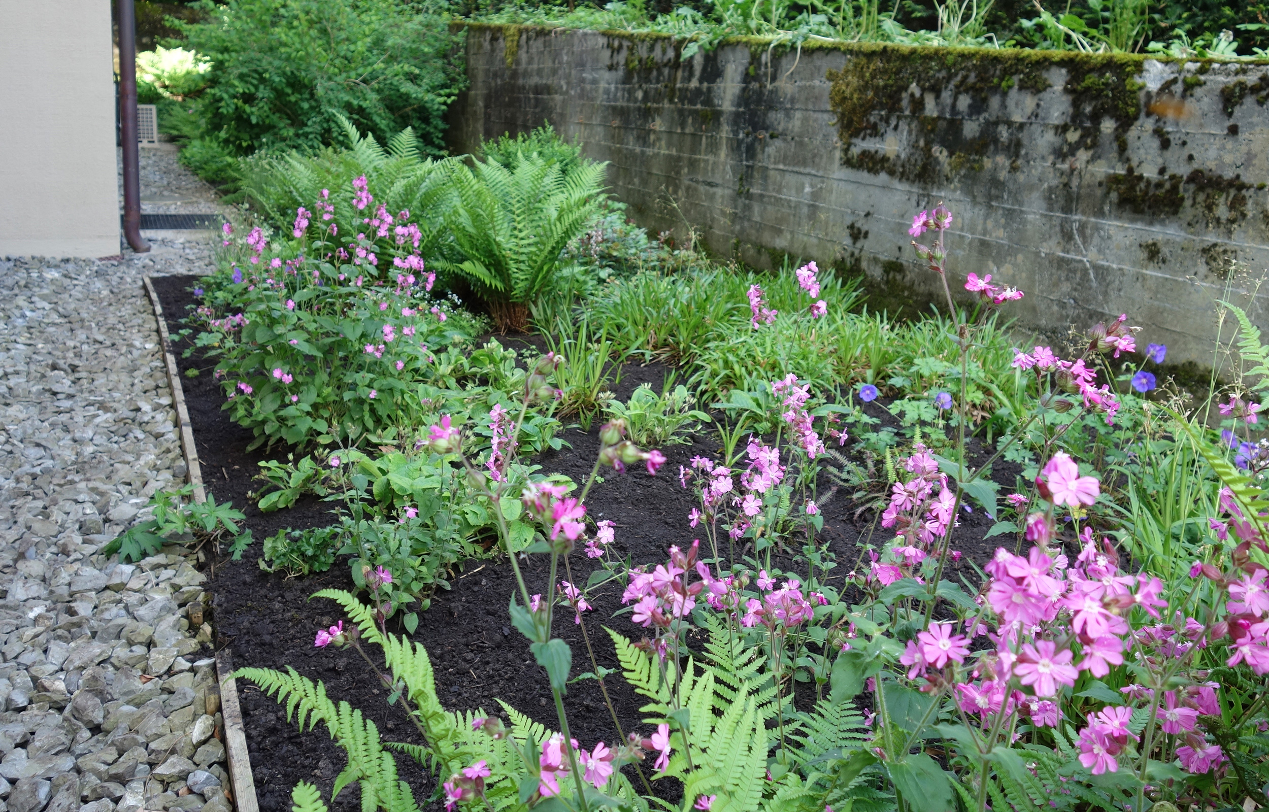 landformen-maihof-luzern-ts4