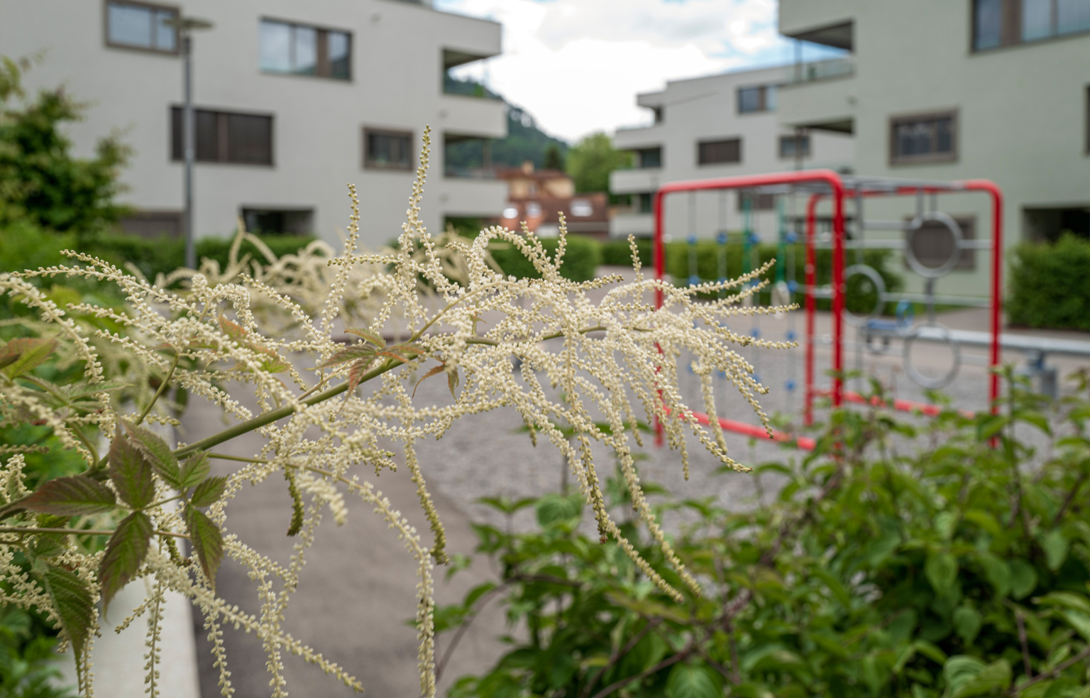 landformen-neuhushof-luzern-ts11-1536x983