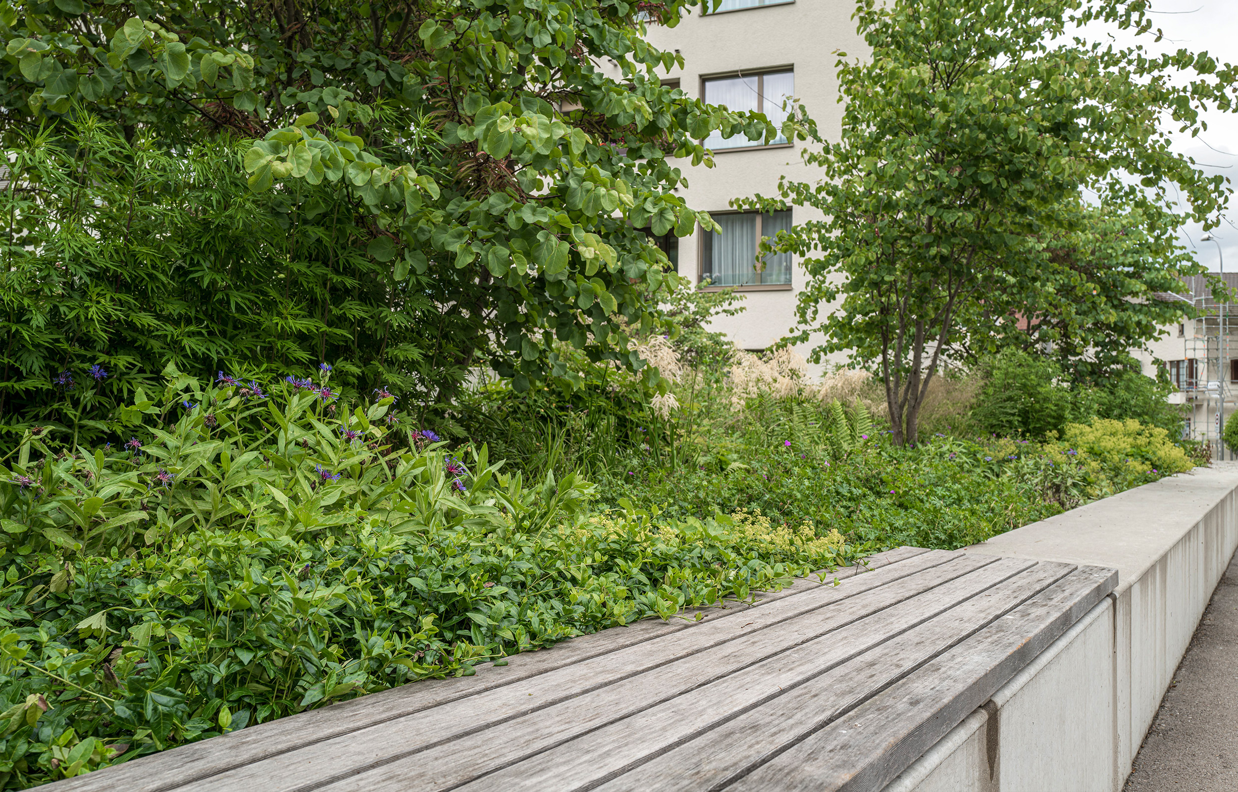 landformen-neuhushof-luzern-ts2