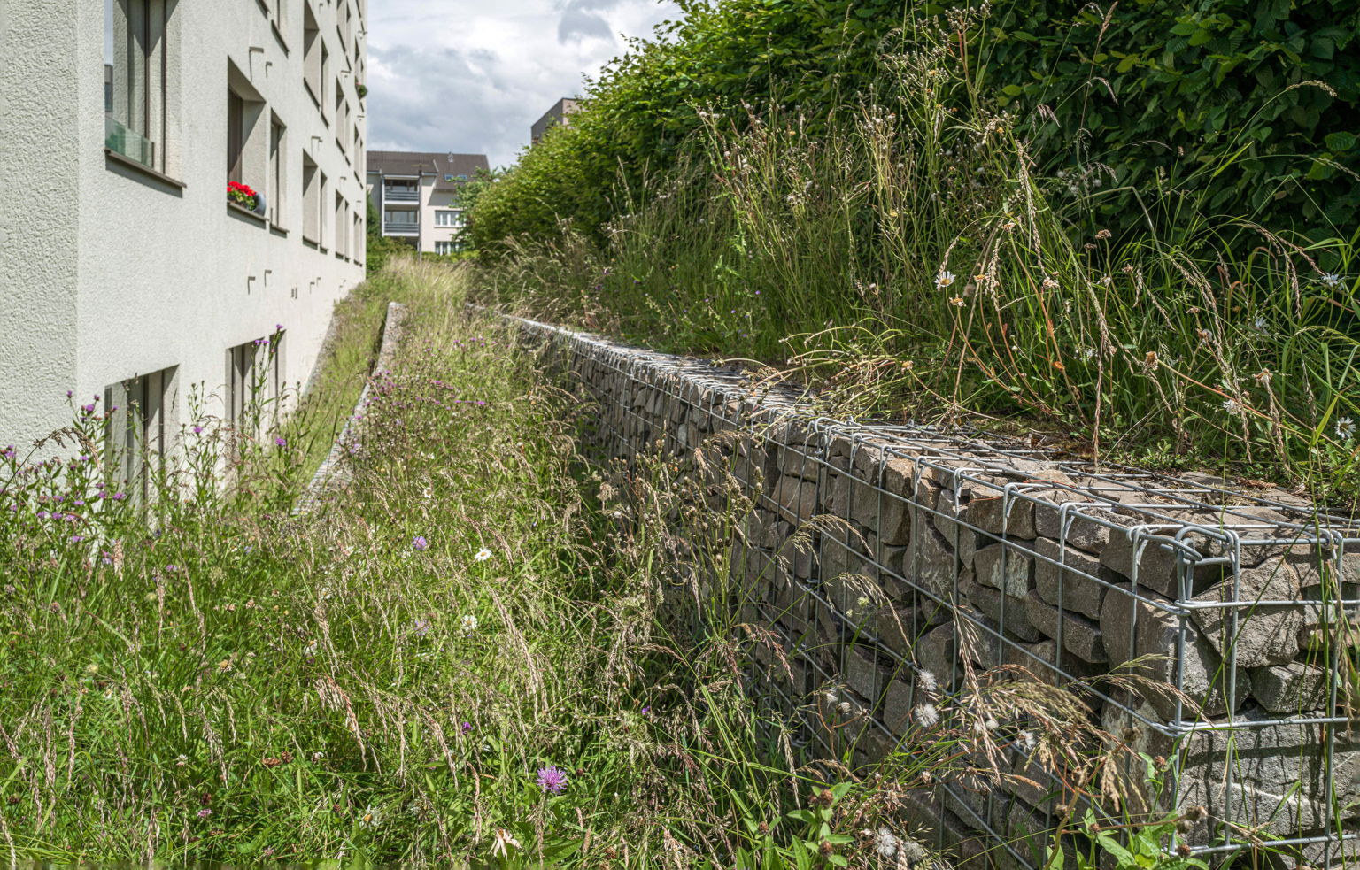 landformen-neuhushof-luzern-ts5-1536x983