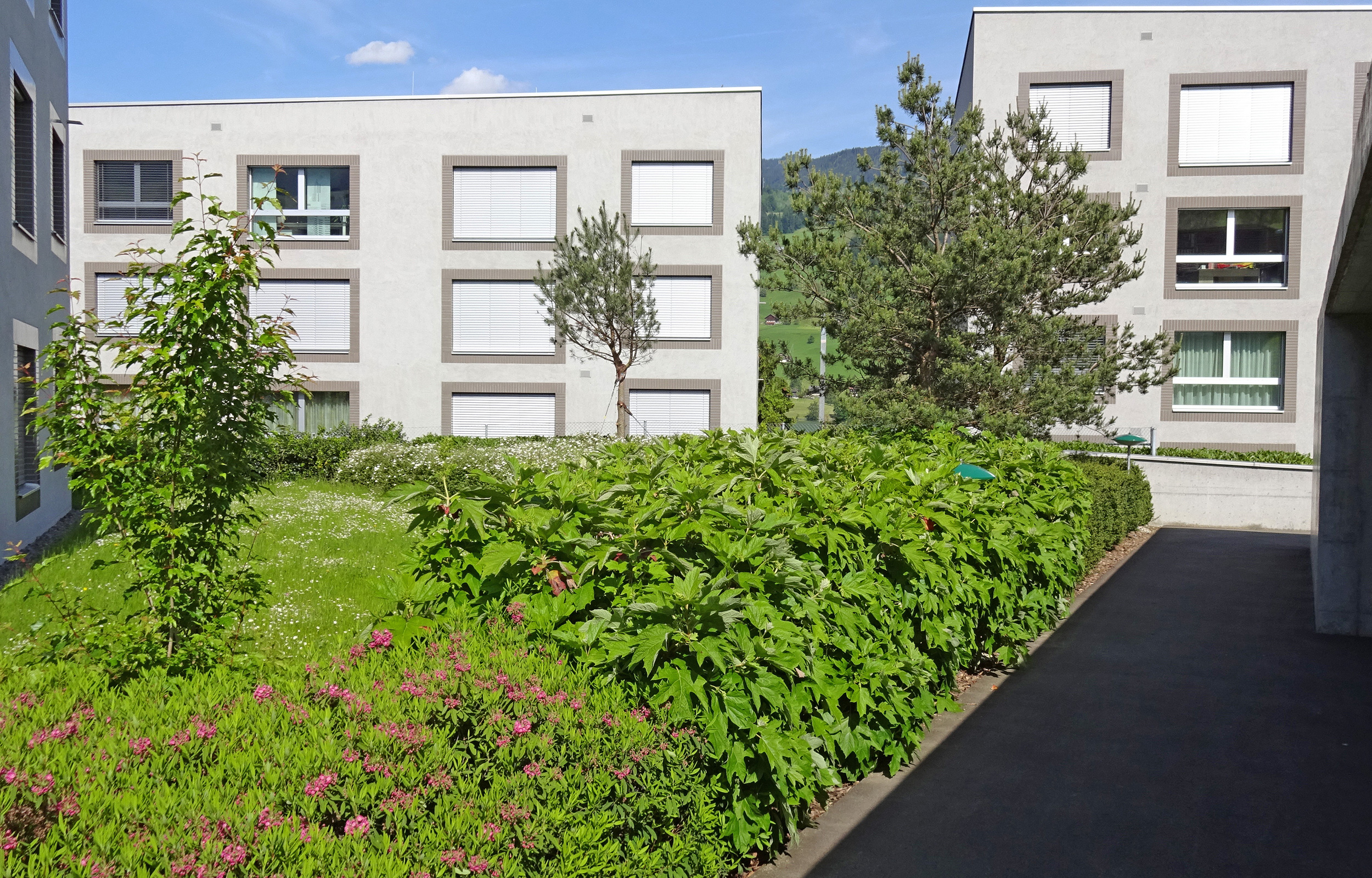 landformen-seehof-sachseln-ts3